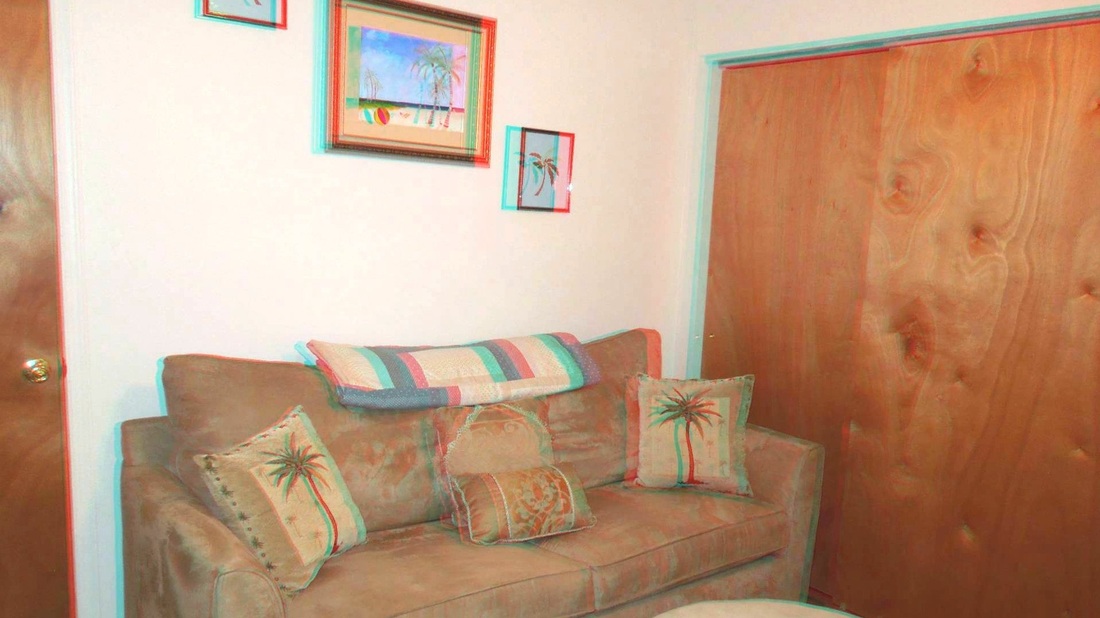3D Anaglyph Palm Room