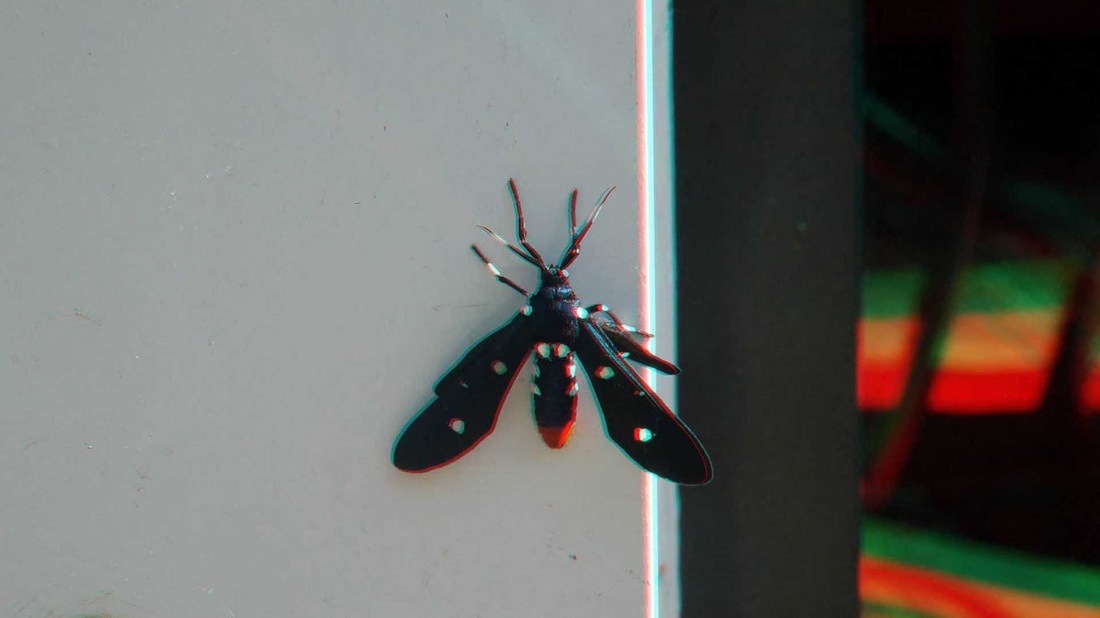 3 d Anaglyph Polka Dotted Moth